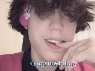 Kingsnowbunny