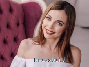 Krissbird