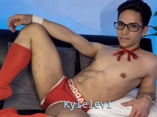 Kylelevi