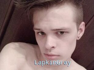 LapkinGray