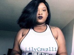 Lily_Cavalli