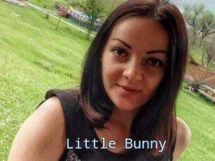 Little_Bunny_