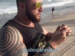 Lobocannabis