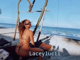 Laceylucii