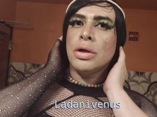 Ladanivenus