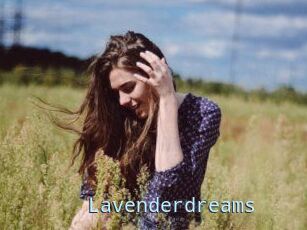 Lavenderdreams