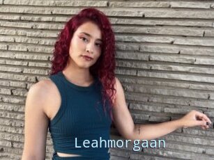 Leahmorgaan