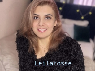 Leilarosse