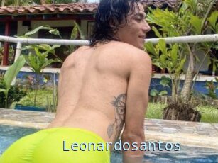 Leonardosantos