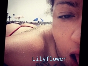 Lilyflower