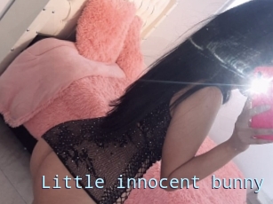 Little_innocent_bunny