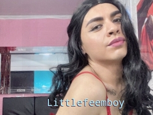 Littlefeemboy