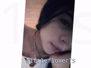 LittleflowerTS