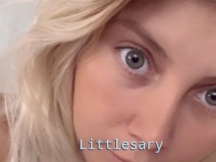 Littlesary