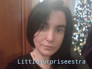 Littlesurpriseestra