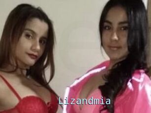 Lizandmia