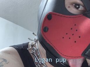 Logan_pup