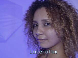 Lucerofox