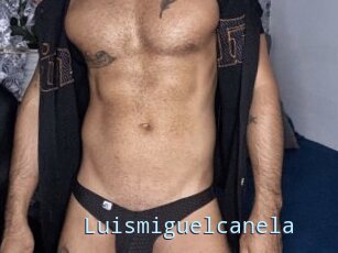 Luismiguelcanela