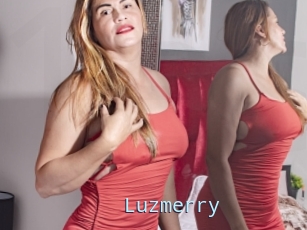 Luzmerry