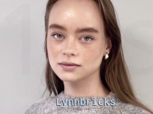 Lynnbricks