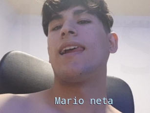 Mario_neta