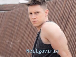 Neilgaviria