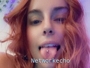 Networkecho