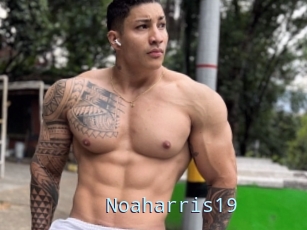 Noaharris19