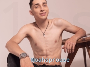 Noahsprouse