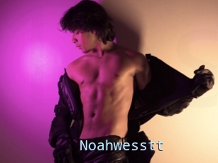 Noahwesstt