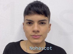 Nohascot