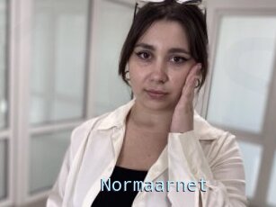 Normaarnet