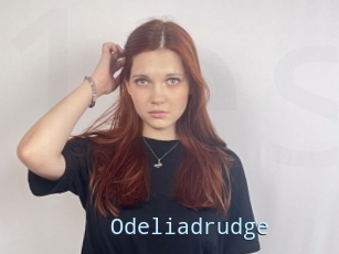 Odeliadrudge