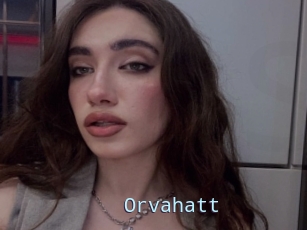 Orvahatt