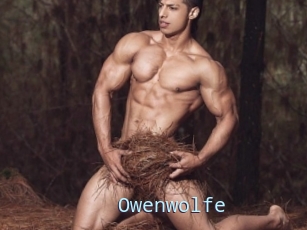 Owenwolfe