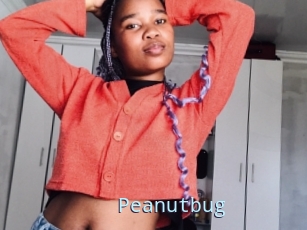 Peanutbug