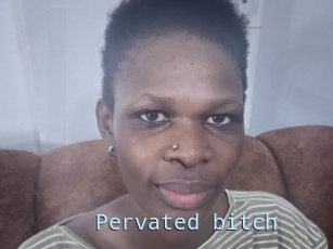 Pervated_bitch