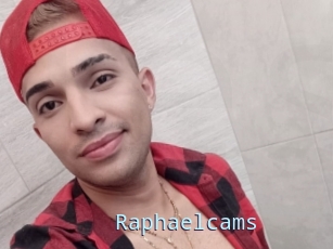 Raphaelcams