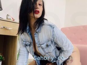 Sahory_co