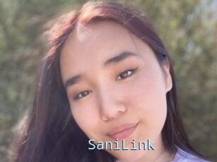 SaniLink