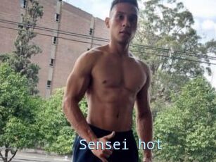 Sensei_hot