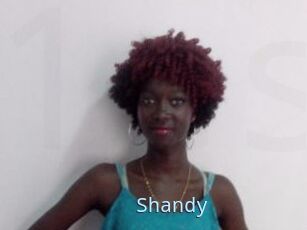 Shandy