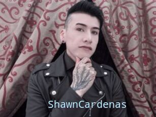 ShawnCardenas