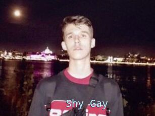 Shy_Gay