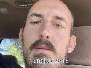 Snakec2018