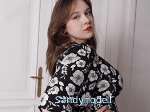 Sandymodel