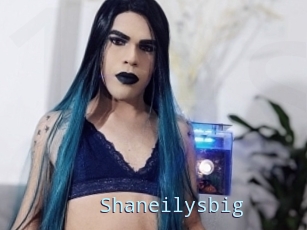 Shaneilysbig