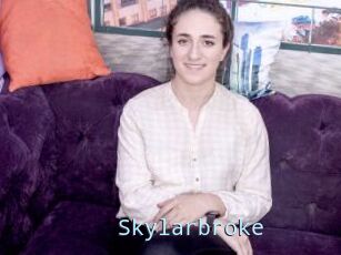 Skylarbroke