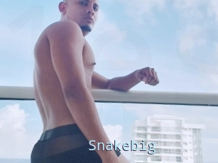 Snakebig